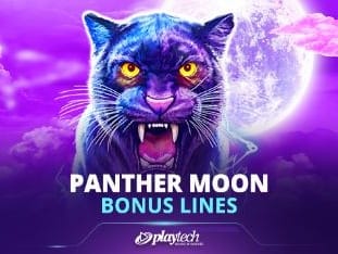 Panther Moon_ Bonus Lines™ game screenshot
